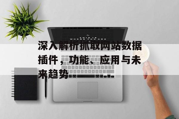 深入解析抓取网站数据插件,功能、应用与未来趋势 深入解析抓取网站数据插件,功能、应用与未来趋势