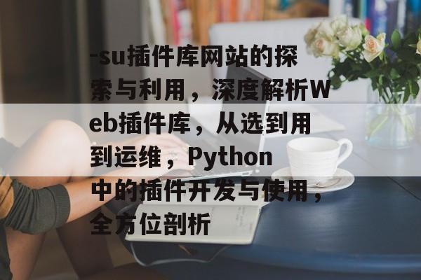 -su插件库网站的探索与利用，深度解析Web插件库，从选到用到运维，Python中的插件开发与使用，全方位剖析