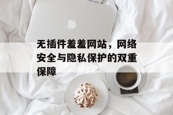 无插件羞羞网站，网络安全与隐私保护的双重保障