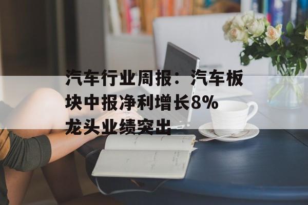 汽车行业周报:汽车板块中报净利增长8% 龙头业绩突出 汽车行业周报:汽车板块中报净利增长8% 龙头业绩突出