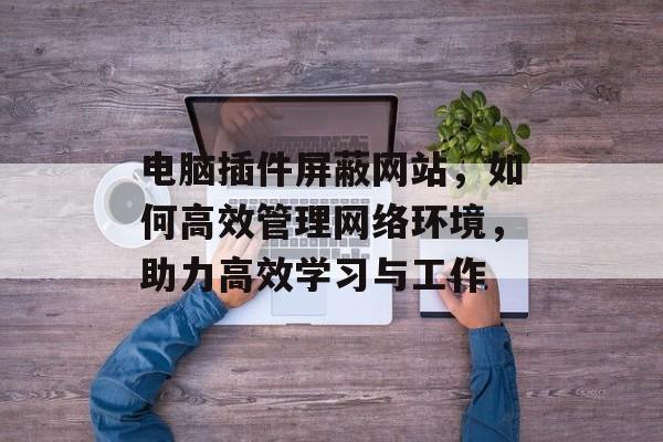 电脑插件屏蔽网站，如何高效管理网络环境，助力高效学习与工作