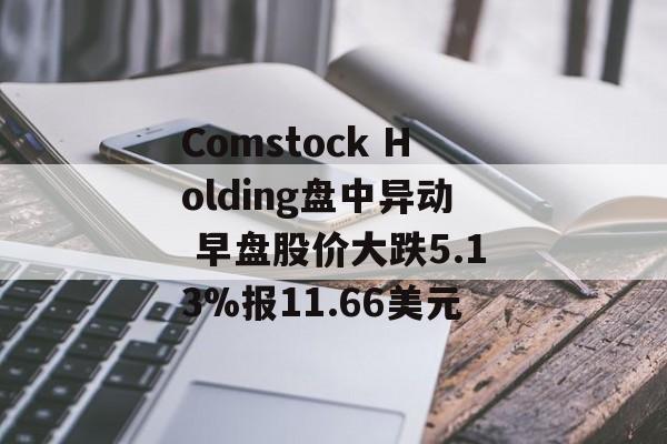 Comstock Holding盘中异动 早盘股价大跌5.13%报11.66美元 Comstock Holding盘中异动 早盘股价大跌5.13%报11.66美元