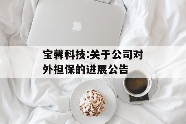 宝馨科技:关于公司对外担保的进展公告 宝馨科技:关于公司对外担保的进展公告