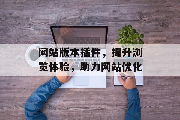 网站版本插件,提升浏览体验,助力网站优化 网站版本插件,提升浏览体验,助力网站优化