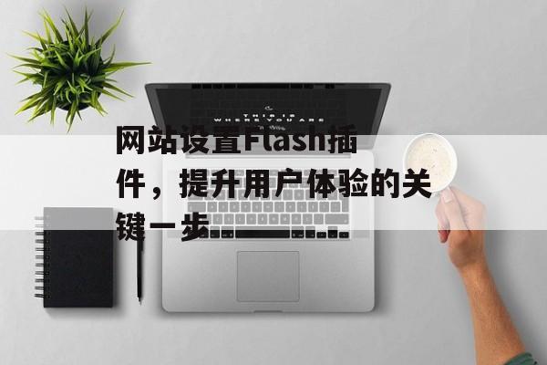 网站设置Flash插件，提升用户体验的关键一步