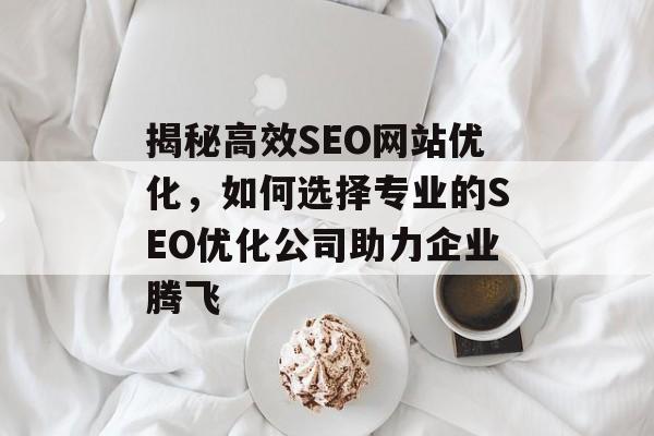 揭秘高效SEO网站优化,如何选择专业的SEO优化公司助力企业腾飞 揭秘高效SEO网站优化,如何选择专业的SEO优化公司助力企业腾飞