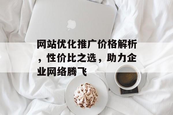 网站优化推广价格解析,性价比之选,助力企业网络腾飞 网站优化推广价格解析,性价比之选,助力企业网络腾飞