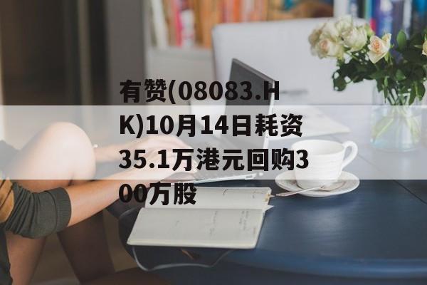 有赞(08083.HK)10月14日耗资35.1万港元回购300万股