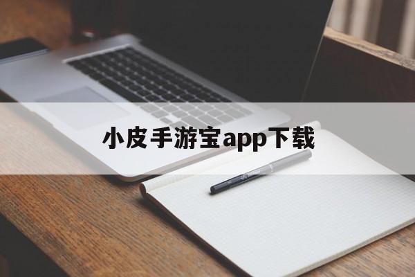 小皮手游宝app下载 小皮手游宝app下载