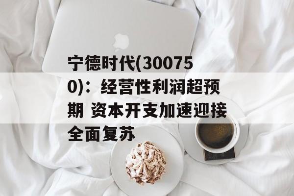 宁德时代(300750):经营性利润超预期 资本开支加速迎接全面复苏 宁德时代(300750):经营性利润超预期 资本开支加速迎接全面复苏