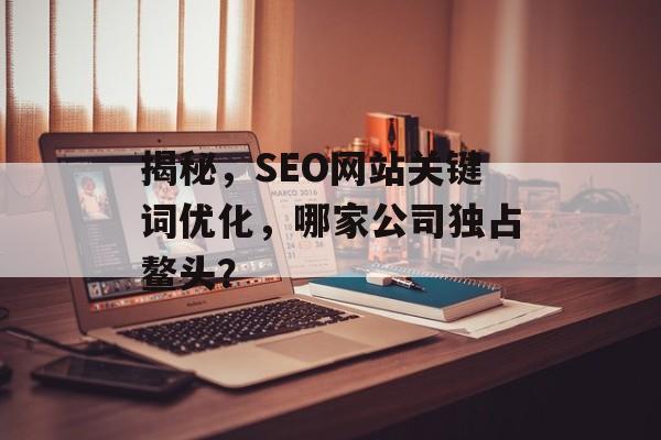揭秘,SEO网站关键词优化,哪家公司独占鳌头? 揭秘,SEO网站关键词优化,哪家公司独占鳌头?