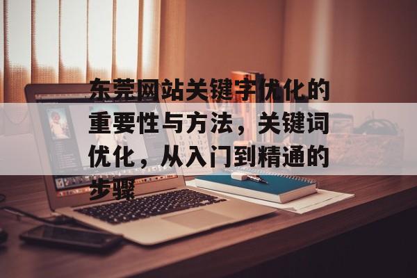 东莞网站关键字优化的重要性与方法，关键词优化，从入门到精通的步骤
