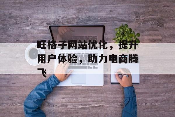 旺格子网站优化,提升用户体验,助力电商腾飞 旺格子网站优化,提升用户体验,助力电商腾飞