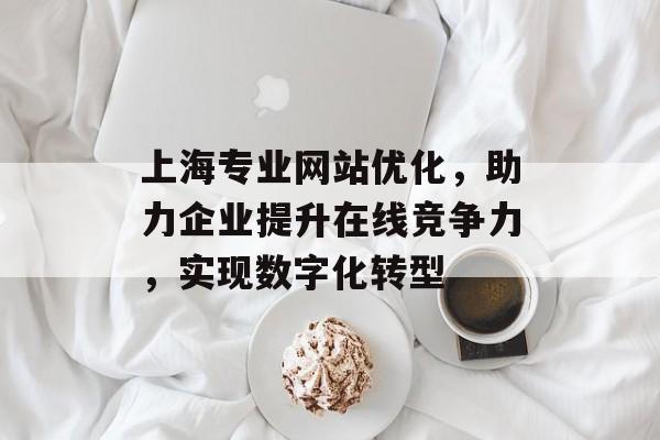 上海专业网站优化,助力企业提升在线竞争力,实现数字化转型 上海专业网站优化,助力企业提升在线竞争力,实现数字化转型