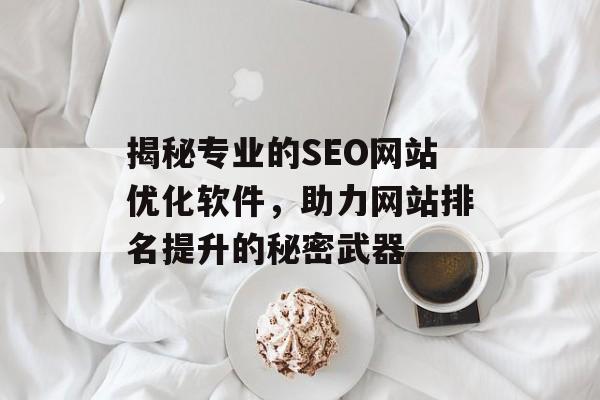 揭秘专业的SEO网站优化软件,助力网站排名提升的秘密武器 揭秘专业的SEO网站优化软件,助力网站排名提升的秘密武器