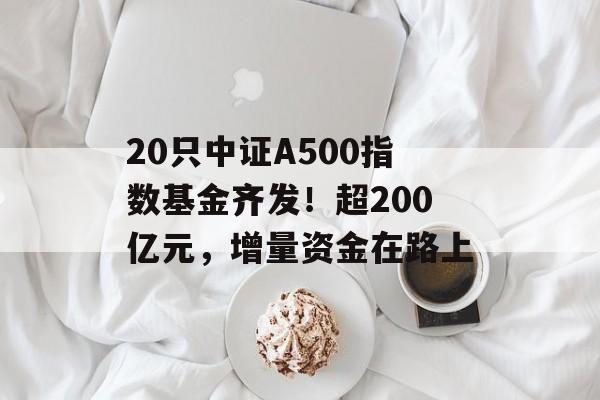 20只中证A500指数基金齐发！超200亿元，增量资金在路上
