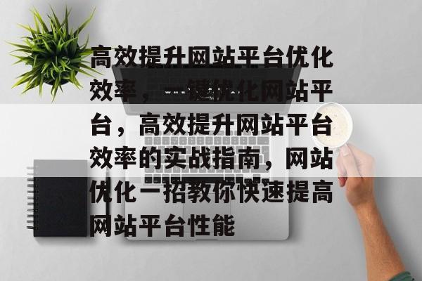 高效提升网站平台优化效率，一键优化网站平台，高效提升网站平台效率的实战指南，网站优化一招教你快速提高网站平台性能