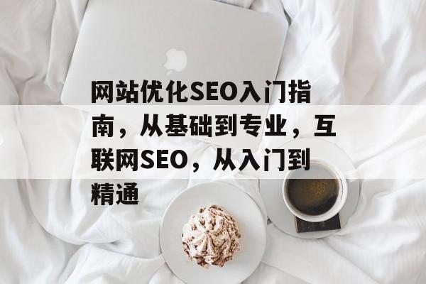 网站优化SEO入门指南,从基础到专业,互联网SEO,从入门到精通 网站优化SEO入门指南,从基础到专业,互联网SEO,从入门到精通