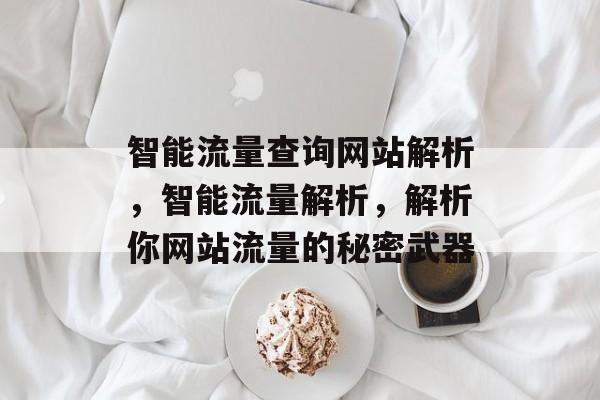 智能流量查询网站解析,智能流量解析,解析你网站流量的秘密武器 智能流量查询网站解析,智能流量解析,解析你网站流量的秘密武器
