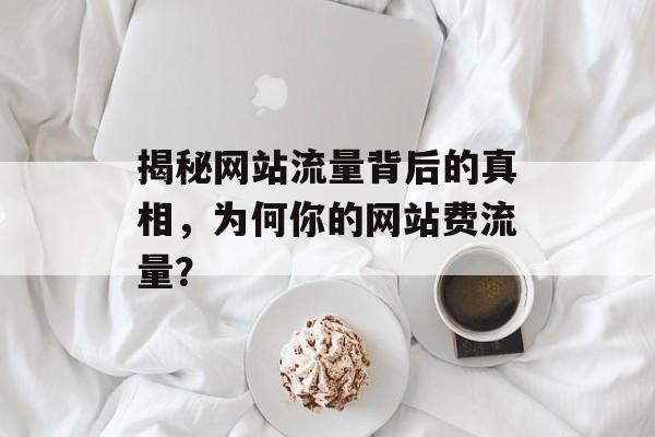 揭秘网站流量背后的真相,为何你的网站费流量? 揭秘网站流量背后的真相,为何你的网站费流量?