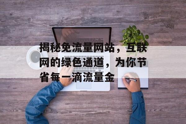 揭秘免流量网站,互联网的绿色通道,为你节省每一滴流量金 揭秘免流量网站,互联网的绿色通道,为你节省每一滴流量金