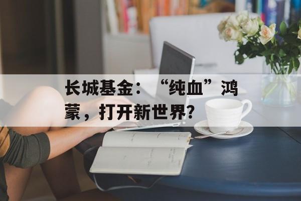 长城基金:“纯血”鸿蒙,打开新世界? 长城基金:“纯血”鸿蒙,打开新世界?