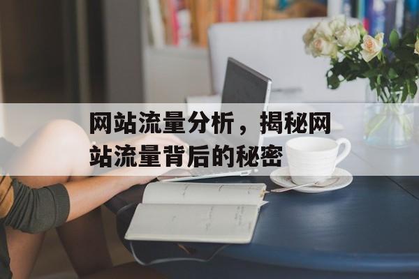 网站流量分析,揭秘网站流量背后的秘密 网站流量分析,揭秘网站流量背后的秘密