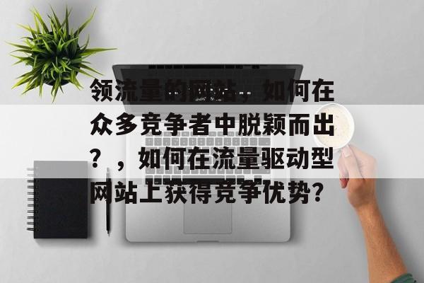领流量的网站,如何在众多竞争者中脱颖而出?,如何在流量驱动型网站上获得竞争优势? 领流量的网站,如何在众多竞争者中脱颖而出?,如何在流量驱动型网站上获得竞争优势?