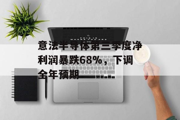 意法半导体第三季度净利润暴跌68%，下调全年预期