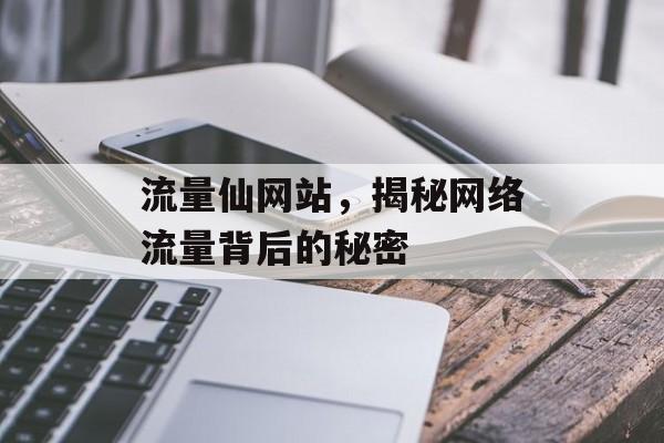 流量仙网站,揭秘网络流量背后的秘密 流量仙网站,揭秘网络流量背后的秘密