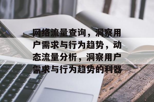 网络流量查询,洞察用户需求与行为趋势,动态流量分析,洞察用户需求与行为趋势的利器 网络流量查询,洞察用户需求与行为趋势,动态流量分析,洞察用户需求与行为趋势的利器