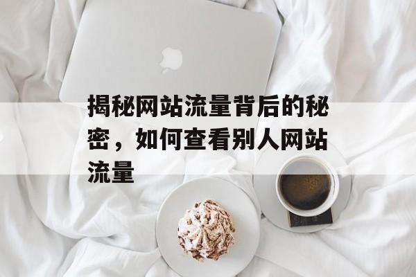 揭秘网站流量背后的秘密,如何查看别人网站流量 揭秘网站流量背后的秘密,如何查看别人网站流量