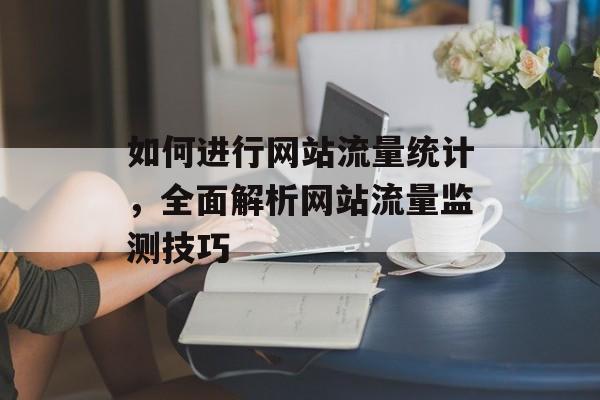 如何进行网站流量统计，全面解析网站流量监测技巧