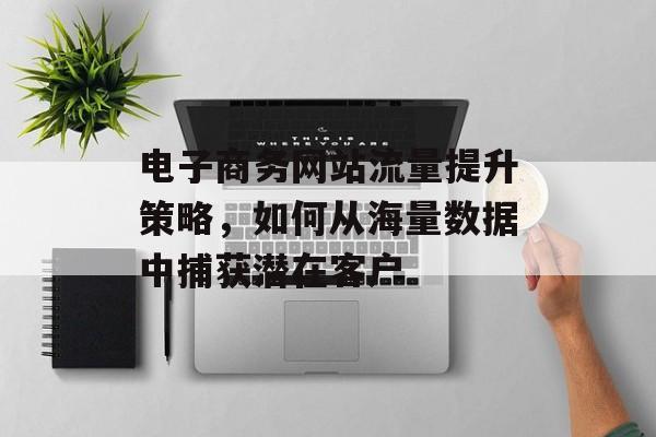 电子商务网站流量提升策略,如何从海量数据中捕获潜在客户 电子商务网站流量提升策略,如何从海量数据中捕获潜在客户