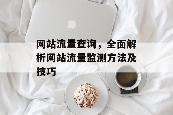 网站流量查询,全面解析网站流量监测方法及技巧 网站流量查询,全面解析网站流量监测方法及技巧