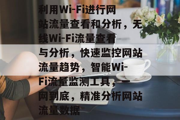 利用Wi-Fi进行网站流量查看和分析，无线Wi-Fi流量查看与分析，快速监控网站流量趋势，智能Wi-Fi流量监测工具，一网到底，精准分析网站流量数据