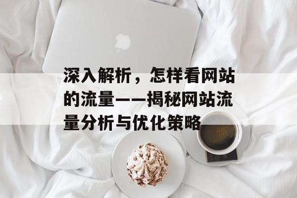 深入解析,怎样看网站的流量——揭秘网站流量分析与优化策略 深入解析,怎样看网站的流量——揭秘网站流量分析与优化策略