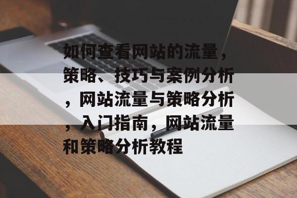 如何查看网站的流量,策略、技巧与案例分析,网站流量与策略分析,入门指南,网站流量和策略分析教程 如何查看网站的流量,策略、技巧与案例分析,网站流量与策略分析,入门指南,网站流量和策略分析教程