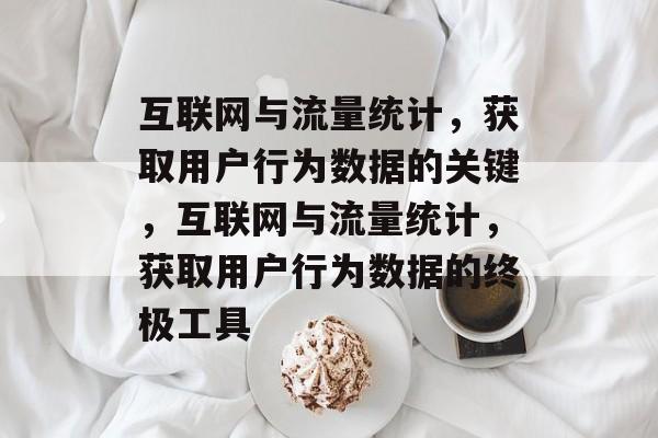 互联网与流量统计，获取用户行为数据的关键，互联网与流量统计，获取用户行为数据的终极工具