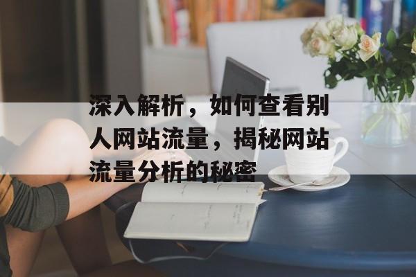 深入解析,如何查看别人网站流量,揭秘网站流量分析的秘密 深入解析,如何查看别人网站流量,揭秘网站流量分析的秘密
