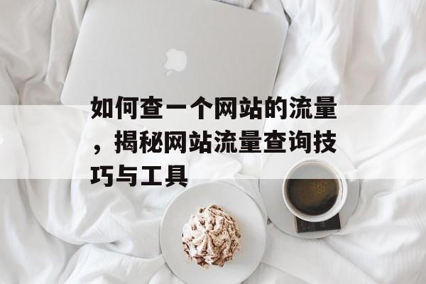如何查一个网站的流量,揭秘网站流量查询技巧与工具 如何查一个网站的流量,揭秘网站流量查询技巧与工具
