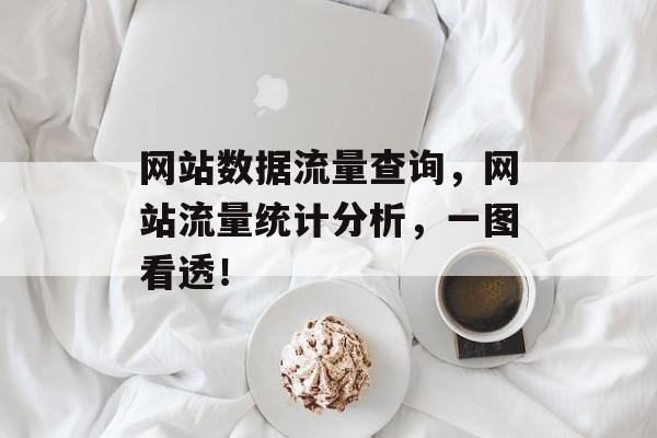网站数据流量查询,网站流量统计分析,一图看透! 网站数据流量查询,网站流量统计分析,一图看透!
