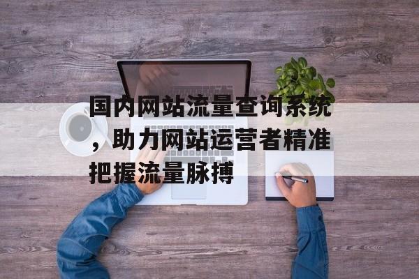 国内网站流量查询系统,助力网站运营者精准把握流量脉搏 国内网站流量查询系统,助力网站运营者精准把握流量脉搏