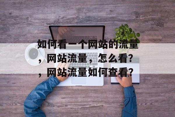 如何看一个网站的流量,网站流量,怎么看?,网站流量如何查看? 如何看一个网站的流量,网站流量,怎么看?,网站流量如何查看?