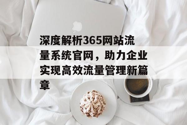 深度解析365网站流量系统官网,助力企业实现高效流量管理新篇章 深度解析365网站流量系统官网,助力企业实现高效流量管理新篇章