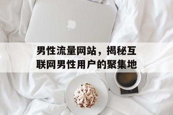 男性流量网站,揭秘互联网男性用户的聚集地 男性流量网站,揭秘互联网男性用户的聚集地