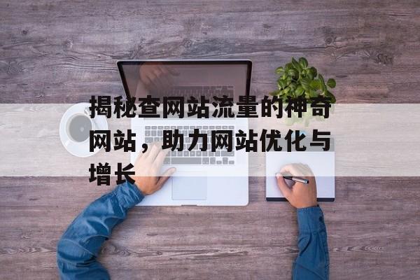 揭秘查网站流量的神奇网站,助力网站优化与增长 揭秘查网站流量的神奇网站,助力网站优化与增长