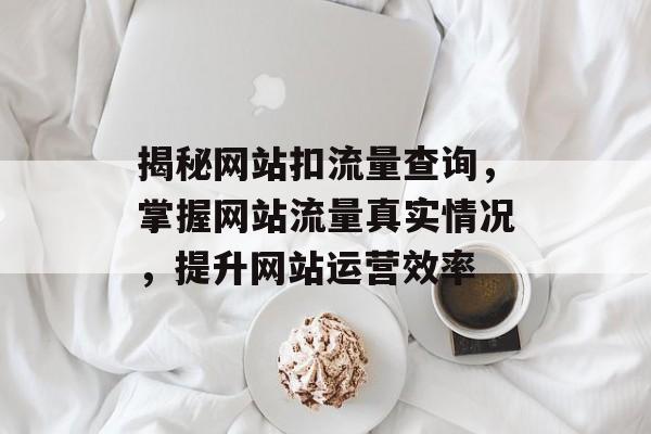 揭秘网站扣流量查询,掌握网站流量真实情况,提升网站运营效率 揭秘网站扣流量查询,掌握网站流量真实情况,提升网站运营效率