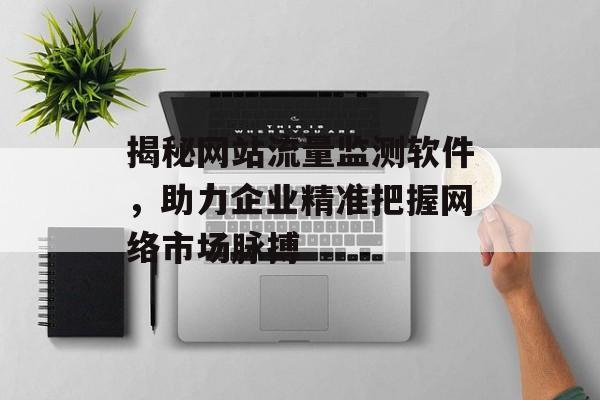 揭秘网站流量监测软件,助力企业精准把握网络市场脉搏 揭秘网站流量监测软件,助力企业精准把握网络市场脉搏