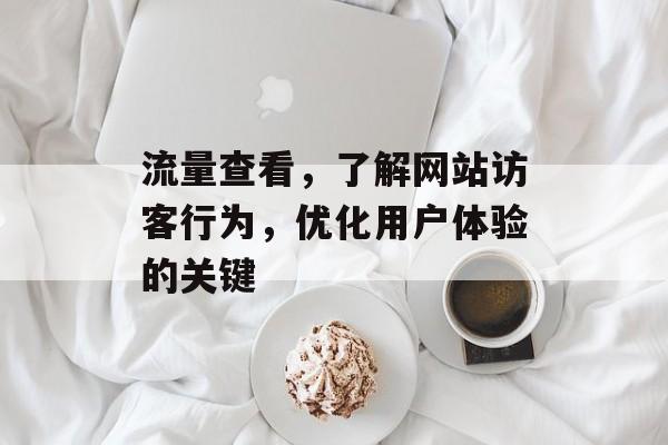 流量查看,了解网站访客行为,优化用户体验的关键 流量查看,了解网站访客行为,优化用户体验的关键